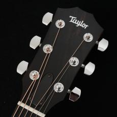 Taylor 214ce Walnut 【B級特価!】【トリファイドスプルース】【細目ネック】【町田店】_3