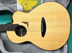 aNueNue aNN-LS700E_2