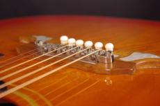 Gibson DOVE CHSB 1968_11