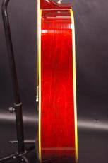 Gibson DOVE CHSB 1968_13