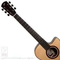 Morris S-101M "Minamizawa Daisuke" Model_6