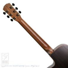 Morris S-101M "Minamizawa Daisuke" Model_7