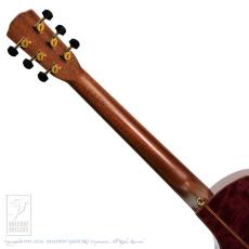 Morris S-104PH 2024 Limited Edition For FingerPicking_7