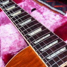 Tokai 1981 LS-100 -Love Rock-_6