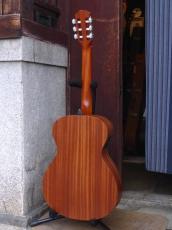 Taylor '22 Academy 12e-Nylon_2