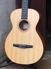 Taylor '22 Academy 12e-Nylon_3