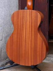 Taylor '22 Academy 12e-Nylon_4