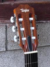 Taylor '22 Academy 12e-Nylon_5
