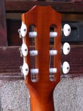 Taylor '22 Academy 12e-Nylon_6