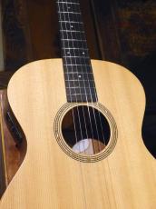 Taylor '22 Academy 12e-Nylon_7