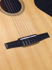 Taylor '22 Academy 12e-Nylon_8