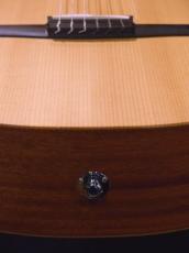 Taylor '22 Academy 12e-Nylon_9
