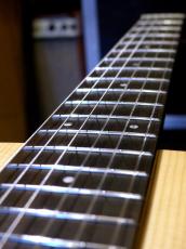 Taylor '22 Academy 12e-Nylon_10