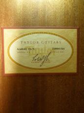 Taylor '22 Academy 12e-Nylon_13
