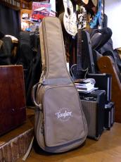 Taylor '22 Academy 12e-Nylon_14