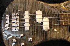 Warwick Custom Shop STREAMER LX NIRVARNA BLACK_4