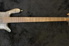 Warwick Custom Shop STREAMER LX NIRVARNA BLACK_7