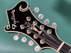 APITIUS The Vanguard F-5_5