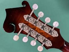 APITIUS The Vanguard F-5_6