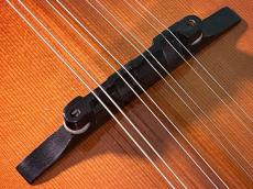 APITIUS The Vanguard F-5_10