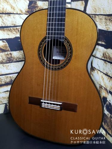 桜井・河野 君島 聡 So Kimishima 2024年製 STELLA 640mm 杉・ローズウッド【日本総本店2F 在庫品】