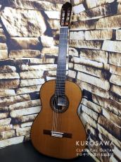 桜井・河野 君島 聡 So Kimishima 2024年製 STELLA 640mm 杉・ローズウッド【日本総本店2F 在庫品】_2