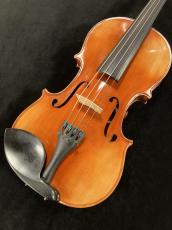 David Gage 【エレクトリックバイオリン中古品】 RV4 With Realist