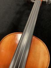 David Gage 【エレクトリックバイオリン中古品】 RV4 With Realist_3