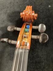 David Gage 【エレクトリックバイオリン中古品】 RV4 With Realist_4