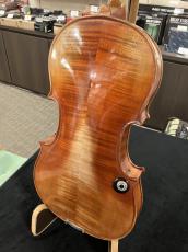 David Gage 【エレクトリックバイオリン中古品】 RV4 With Realist_5