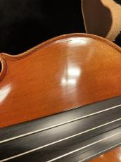 David Gage 【エレクトリックバイオリン中古品】 RV4 With Realist_8