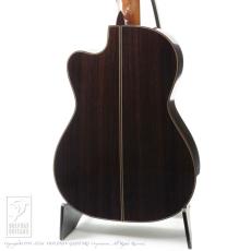 ASTURIAS Custom S Crossover (Nylon Strings)_3