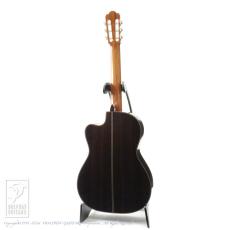 ASTURIAS Custom S Crossover (Nylon Strings)_4
