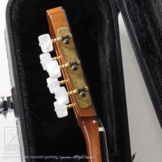 ASTURIAS Custom S Crossover (Nylon Strings)_7