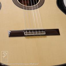 ASTURIAS Custom S Crossover (Nylon Strings)_11