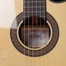 ASTURIAS Custom S Crossover (Nylon Strings)_12