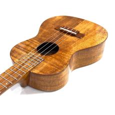 ◇試奏動画 【KIWAYA】KT-HK/DX テナーサイズ_16