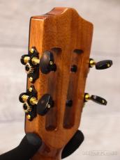 Leho LHUT-ASAK-LMT 【Specialty Series】【テナー/アカシア】【単板モデル】【24回金利0%対象】【送料込】_9