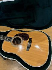 Martin D-45_2