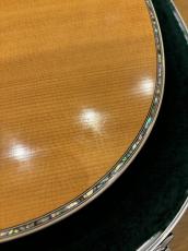 Martin D-45_8