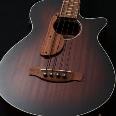 Ibanez 【アウトレット特価!】 AEGB24E  【アコースティックベース】【買取・下取強化中!】【クロサワ楽器町田店】