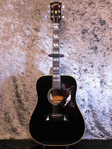Gibson Dove Custom Ebony Black 1977 w / PU