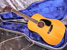 Martin D-35 S 1973 w / BlueCase_11