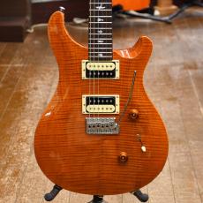 Paul Reed Smith [PRS] SE Custom 24