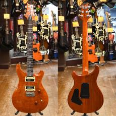 Paul Reed Smith [PRS] SE Custom 24_2