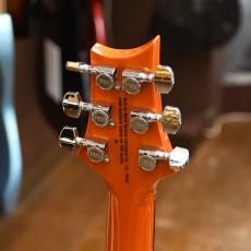 Paul Reed Smith [PRS] SE Custom 24_4