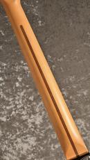 Fender 【新製品】American Professional Telecaster Rosewood FB -3-Color Sunburst- SN:US26046823 ≒3.45kg_6