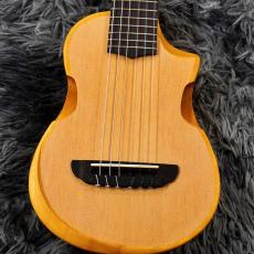 Ibanez AUP10N-OPN (Open Pore Natural)【新品特価】【6弦ナイロン】