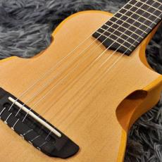 Ibanez AUP10N-OPN (Open Pore Natural)【新品特価】【6弦ナイロン】_3