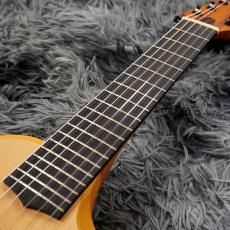 Ibanez AUP10N-OPN (Open Pore Natural)【新品特価】【6弦ナイロン】_5